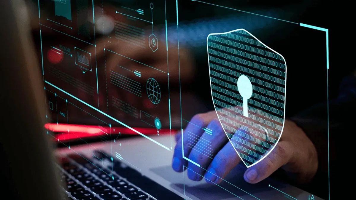 包网 包网平台 BC包网 综合包网 体育包网 线上娱乐包网